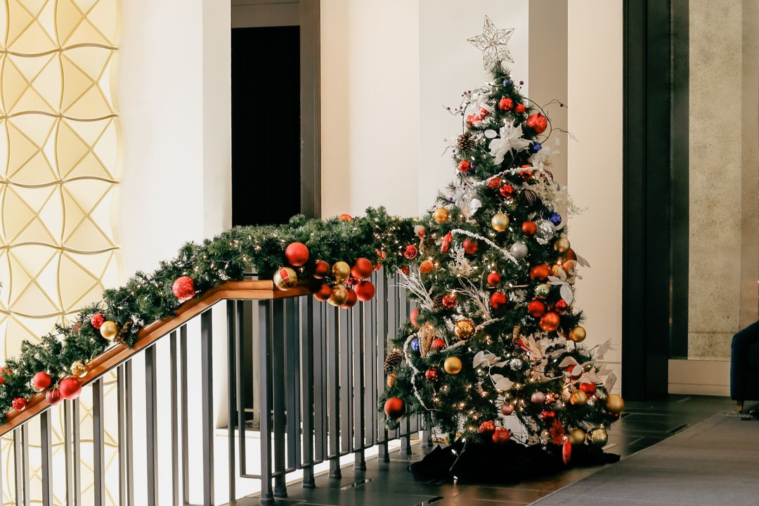 lucury premier suite